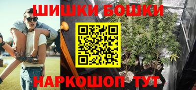 трава Кингисепп