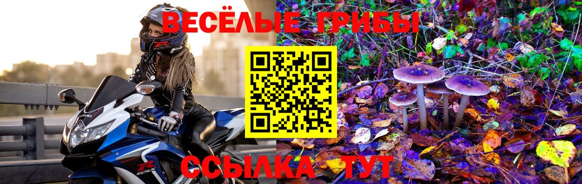 Псилоцибиновые грибы MAGIC MUSHROOMS Коломна